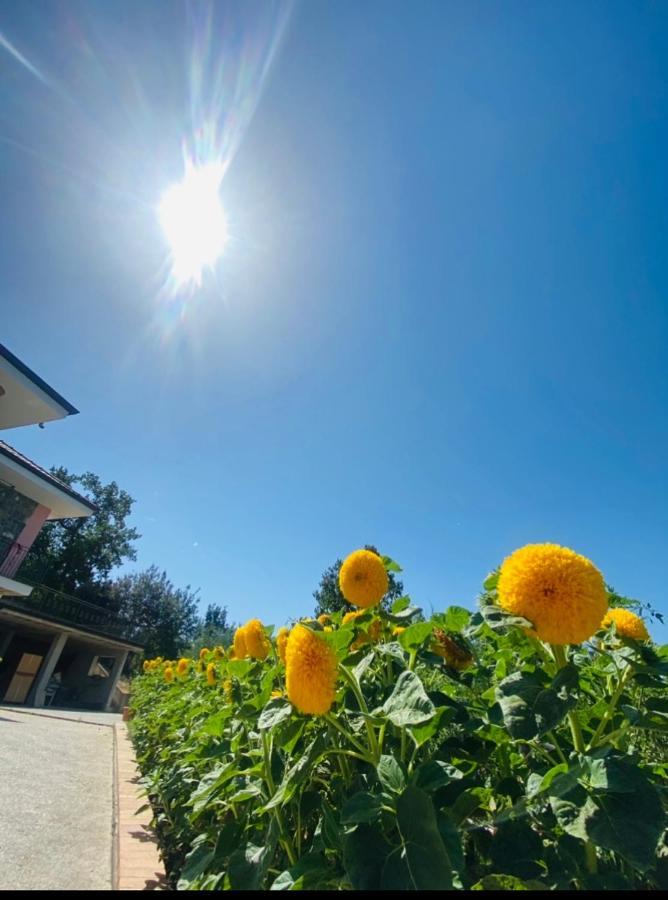 B&B Girasole Torraca Ngoại thất bức ảnh